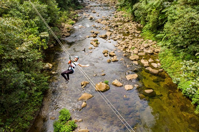 Rainforest Zip-Line Adventure – Braulio Carrillo, Costa Rica - Flying above Braulio Carrillo National Park