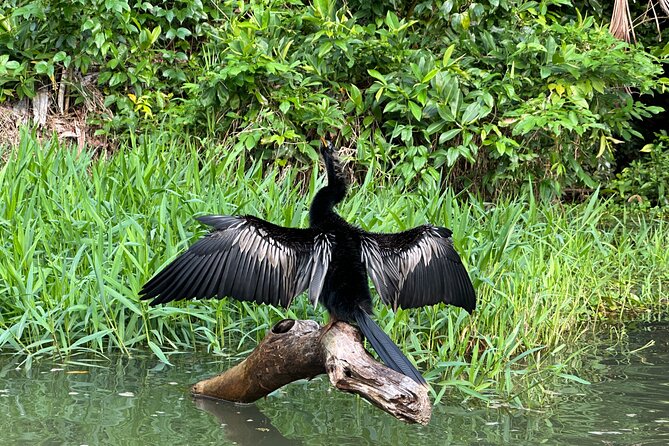 Relaxing Canoe Tour in Tortuguero - The small group changes the feel of the outing
