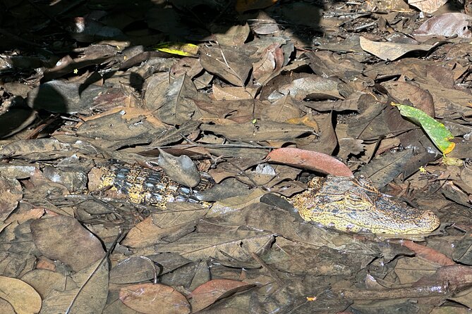 Relaxing Canoe Tour in Tortuguero - Practical details that affect your decision