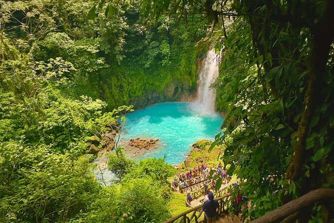 Rio Celeste Expedition – Sloths, Waterfalls & Nature's Magic - Timing, fitness, and what to bring