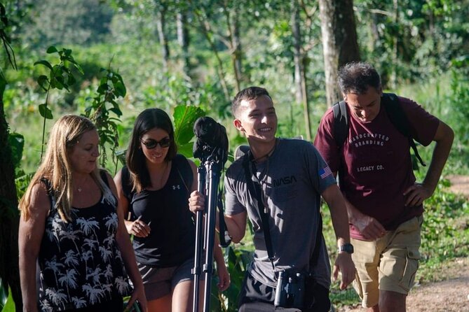 Rio Celeste Waterfall at Tenorio Volcano and Sloth Watching Tour From San Jose - Hiking Tenorio Volcano National Park