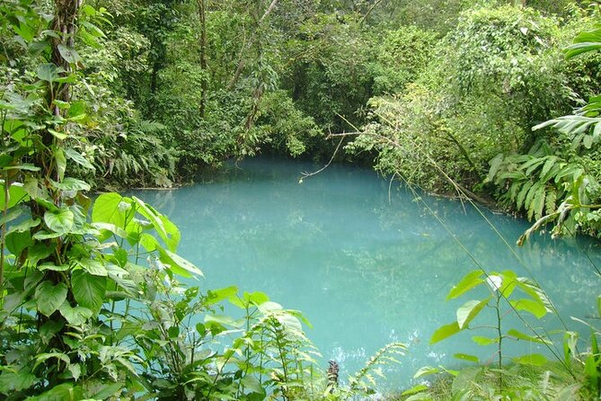 Rio Celeste Waterfall Hike from Arenal - Why Rio Celeste is worth the long ride from La Fortuna