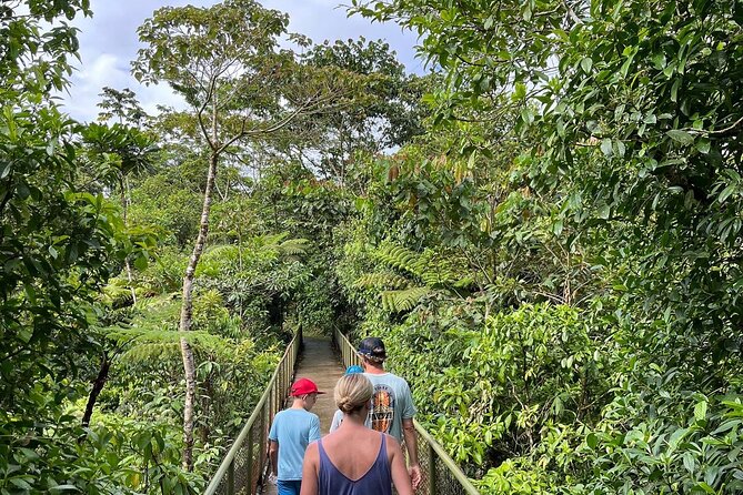 Rio Celeste Waterfall Plus Sloths and wildlife Sanctuary - Spring Paradise and the promised sloth sighting