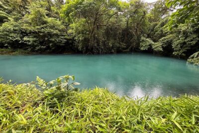 Rio Celeste Waterfall Plus Sloths and wildlife Sanctuary