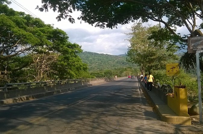 San Jose Airport to Manuel Antonio Private Shuttle - Tárcoles Bridge and roadside wildlife