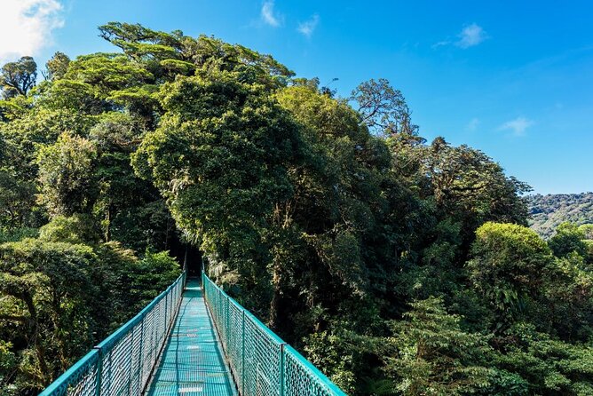 Selvatura Park Combo Tour From Monteverde - Key points to know before you book