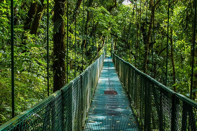 Selvatura Park Combo Tour From Monteverde - The big appeal: three very different Monteverde experiences