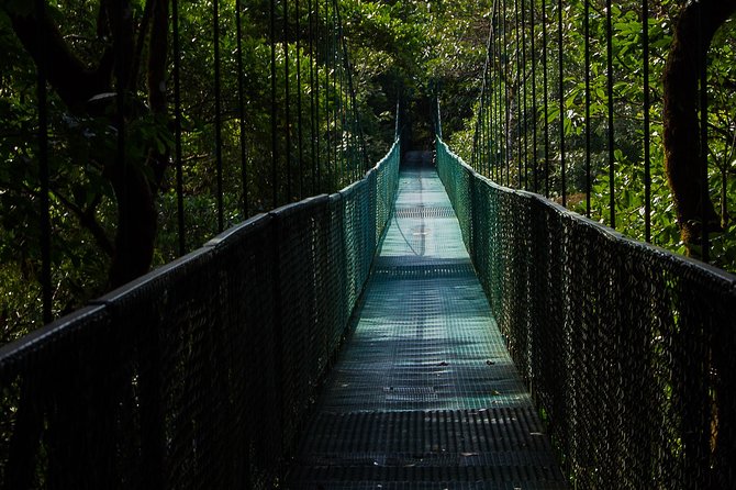 Selvatura Park Combo Tour From Monteverde - The butterfly garden is the calmest stop