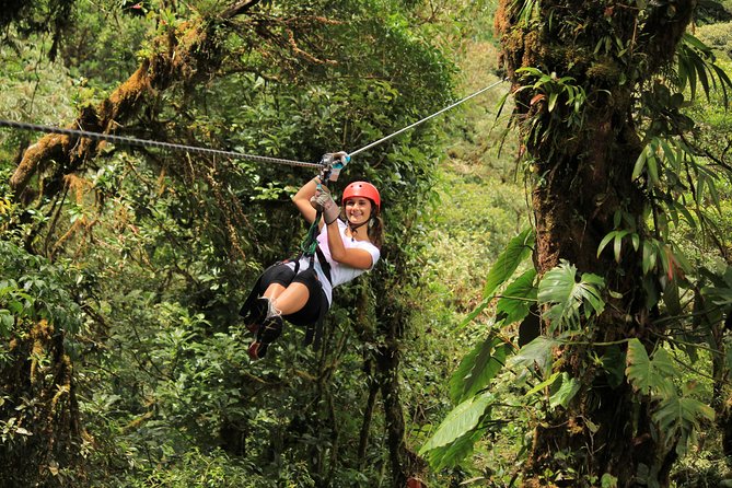 Selvatura Park Combo Tour From Monteverde - Starting at Selvatura Park