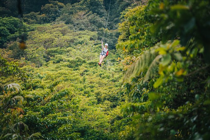 Selvatura Park Gold Package (Canopy & Hanging Bridges) - The 13-cable canopy circuit