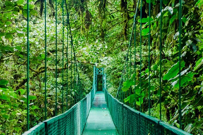 Selvatura Park Hanging Bridge Tour in Monteverde - Eight Bridges, Eight Different Views