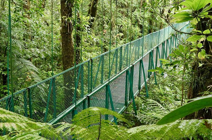 Selvatura Park Hanging Bridge Tour in Monteverde - Families, Couples, and Short Visits