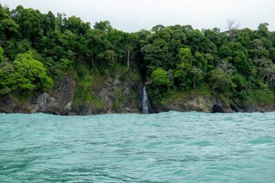 Sirena Station, Corcovado National Park Day Trip from Quepos.