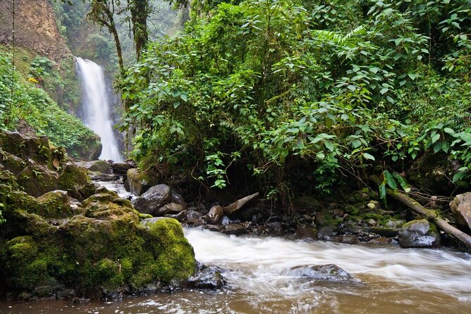 Skip the Line:Day Ticket-La Paz Waterfall Gardens Nature Park & Wildlife Refuge - Key points to know before you go