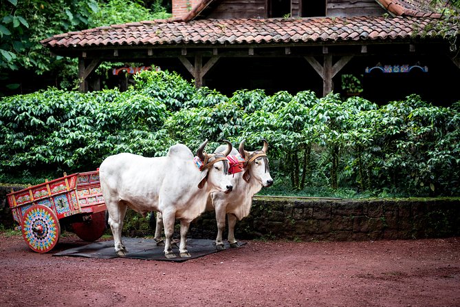 Skip the Line:Day Ticket-La Paz Waterfall Gardens Nature Park & Wildlife Refuge - Is the park suitable for children and older adults?