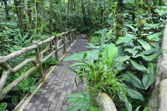 Skip-the-Line La Fortuna Waterfall Admission Ticket - When to visit, and how weather changes the experience