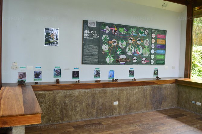 Skip-the-Line La Fortuna Waterfall Admission Ticket - The 500-step route through the reserve