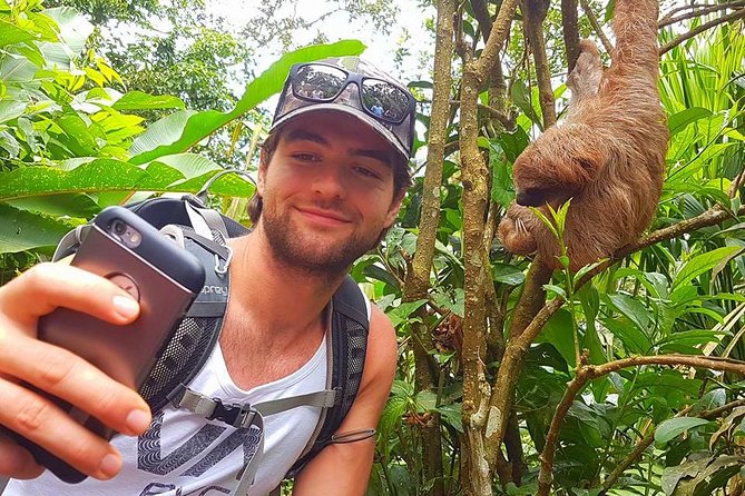 Sloth Discovery & Swim in Rio Celeste - Walking the private sloth reserve in Bijagua