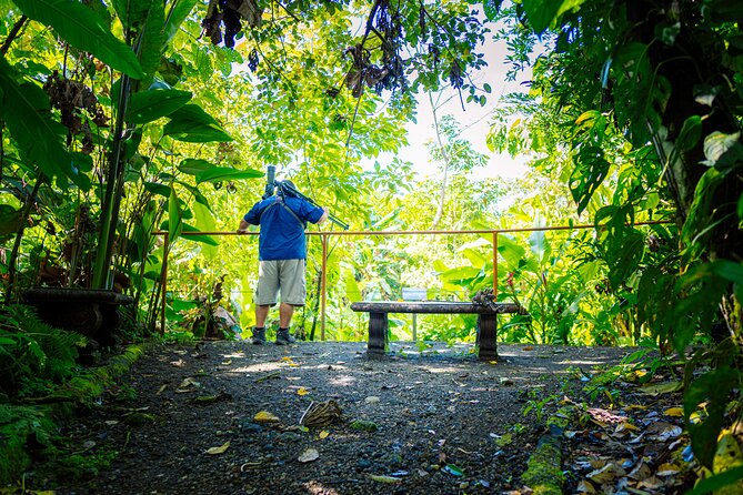 Sloth Tour in La Fortuna and Tortillas Cooking Class - Key things to know before you book