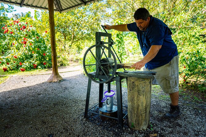 Sloth Tour in La Fortuna and Tortillas Cooking Class - The trail and what you should expect