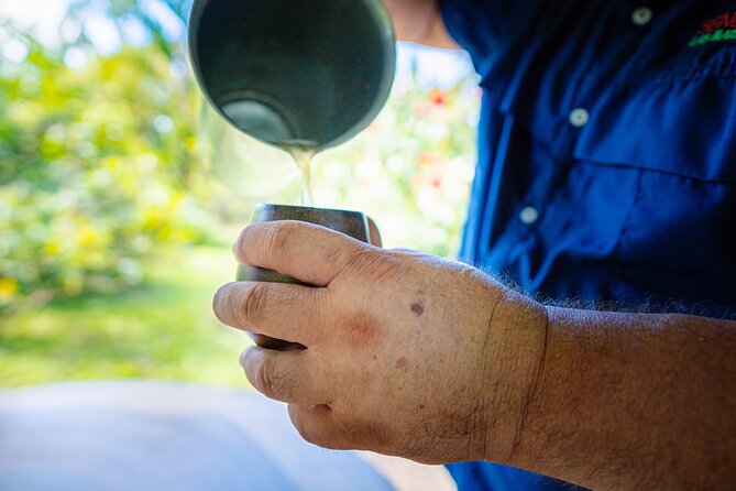 Sloth Tour in La Fortuna and Tortillas Cooking Class - Making tortillas from scratch