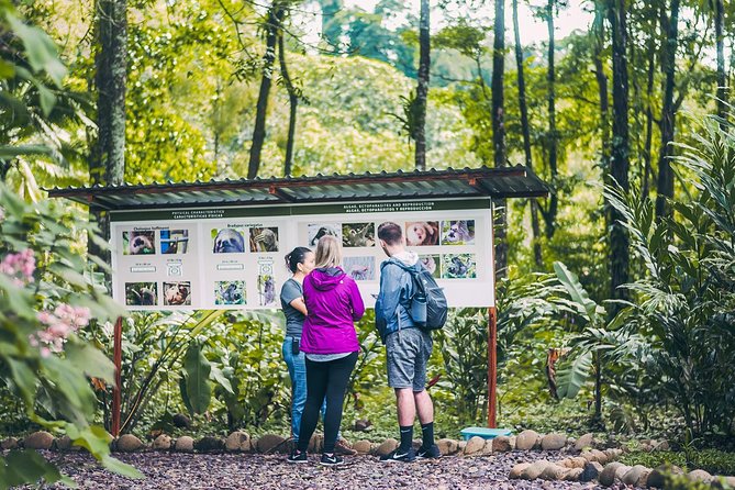 Sloth Tour - Key points to know before you book