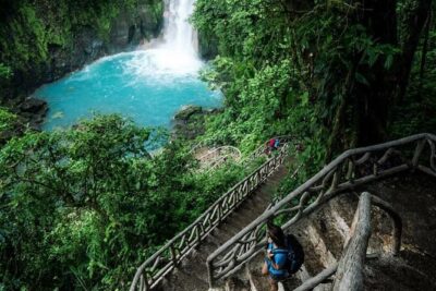 Sloths in their natural habitat & Blue river waterfall