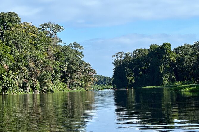 Small Group Tortuguero National Park Canoe Tour - Meeting Kevin on the canals