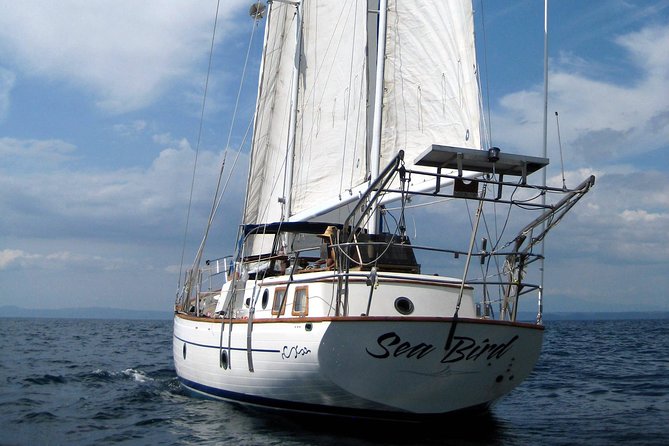 Snorkeling and Cruises - Key points to know before you book