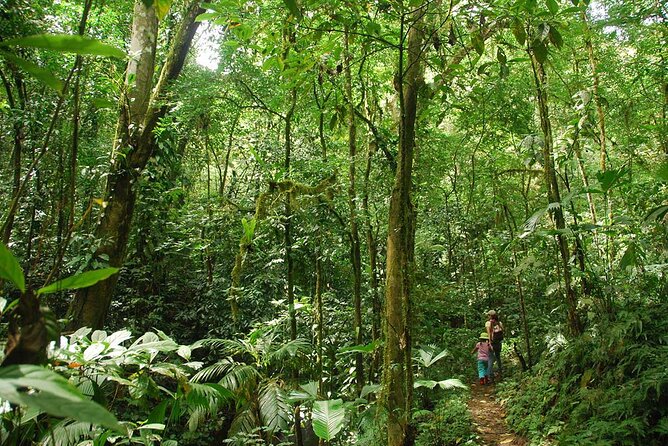 Special Private Waterfalls and Jungle Safari Tour - Who should book this private waterfall tour
