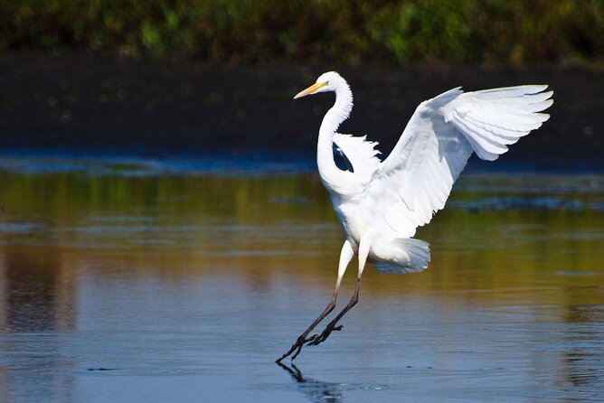 Spectacular Palo Verde Eco-Tour & Blue Zone Adventure - What the $148.72 price really covers