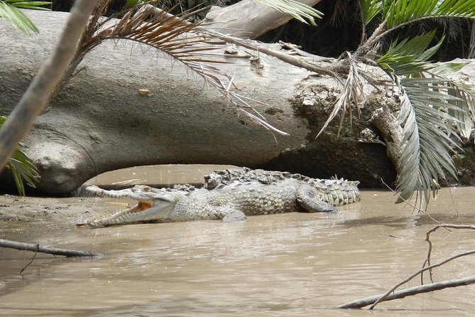 Spectacular Palo Verde Eco-Tour & Blue Zone Adventure - Practical details that can shape your day