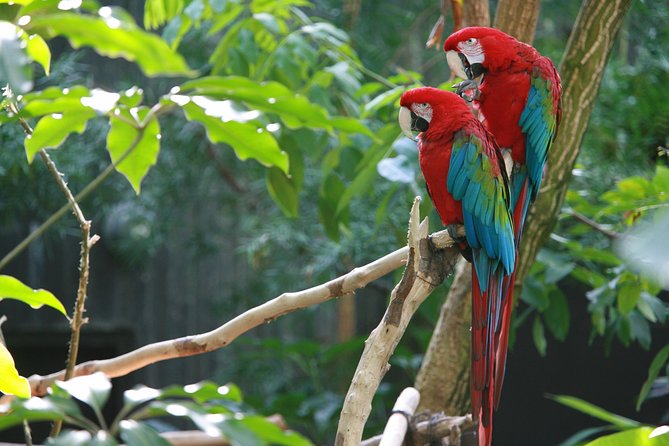 Spectacular Palo Verde Eco-Tour & Blue Zone Adventure - The road through Guanacaste before the river