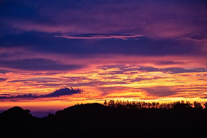 Sunset And Night Walk Guided Tour - Who will enjoy this night walk