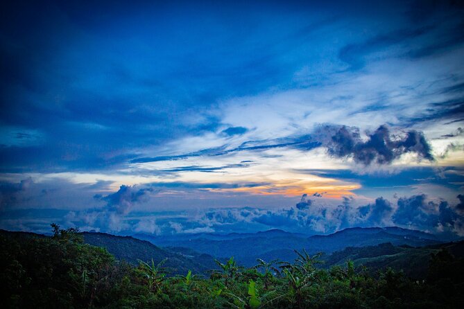 Sunset And Night Walk Guided Tour - Should you book the Monteverde sunset and night walk?