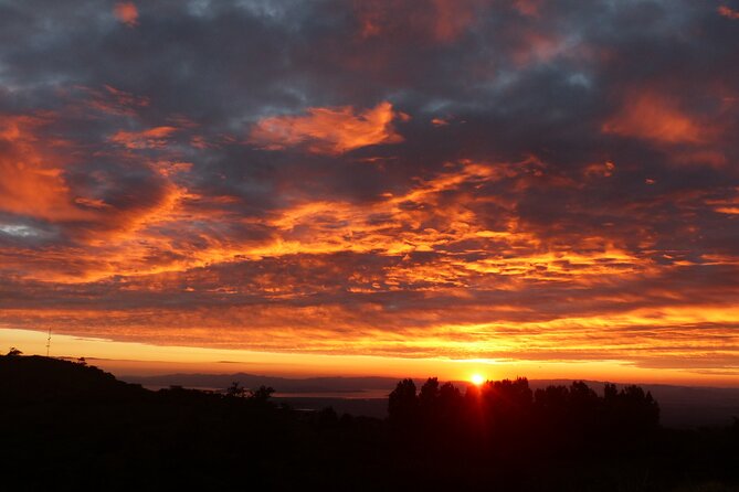 Sunset And Night Walk Guided Tour - Why the family-owned setting changes the feel