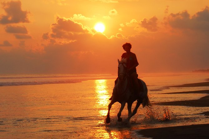 Sunset & Horses - Key points to know before you book
