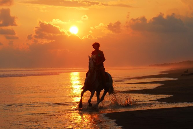 Sunset & Horses - A Pacific beach ride with a local feel