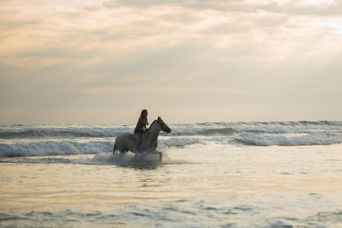 Sunset & Horses - Sunset light, drinks, and the end of the ride
