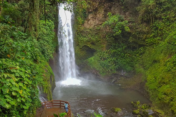 Super Combo Tour: Waterfalls Gardens + Coffee Tour + Poás Volcano - Shared transport is the main practical compromise