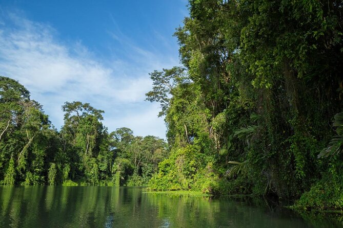 The best of Tortuguero: Canoe, hike and night tour (turtle in Jul-Oct) - Key points to know before booking