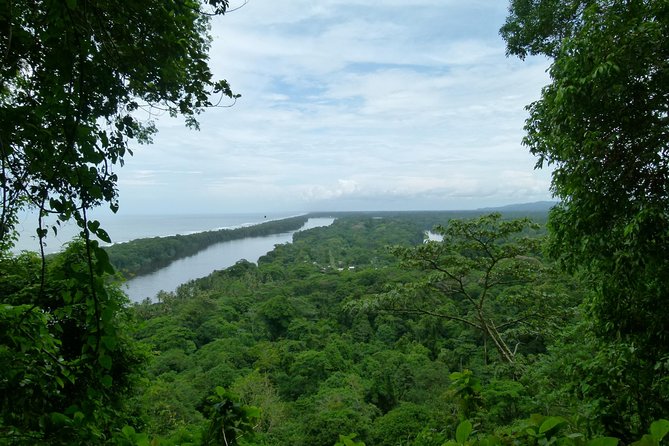 The best of Tortuguero: Canoe, hike and night tour (turtle in Jul-Oct) - Setting out from Roxana before sunrise