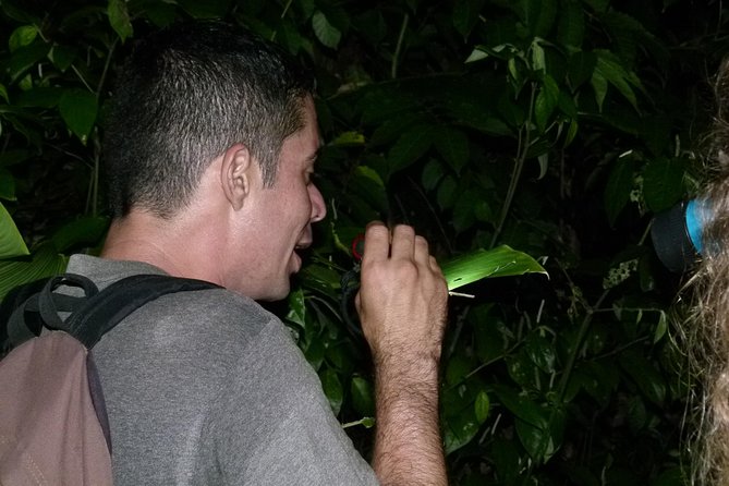 The best of Tortuguero: Canoe, hike and night tour (turtle in Jul-Oct) - Timing, weather, and what to pack