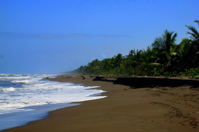 Tortuguero National Park and Canals Day Trip from San Jose - The Tortuguero canals are the main event