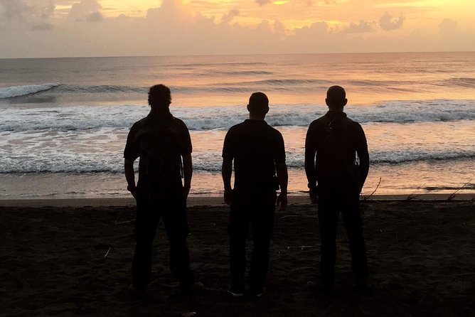 Turtle Tour - Why turtle nesting in Tortuguero matters