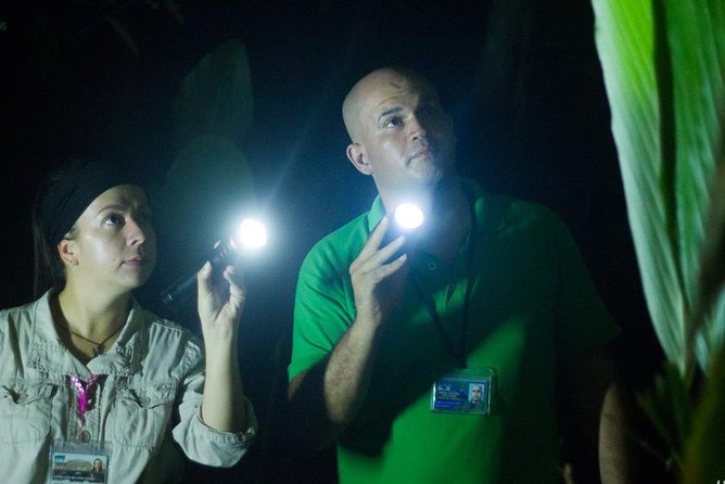 Turtle Tour - The guides make a real difference